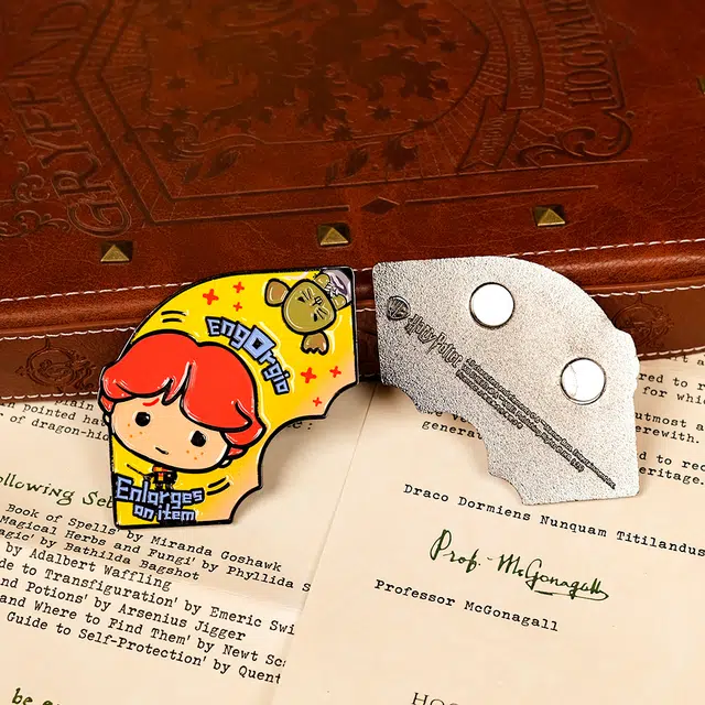 HARRY POTTER diy