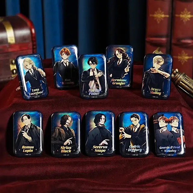 HARRY POTTER