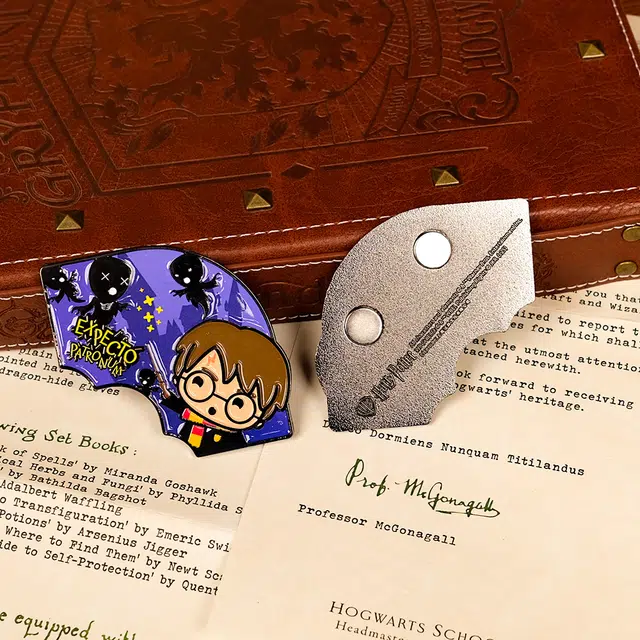 HARRY POTTER diy