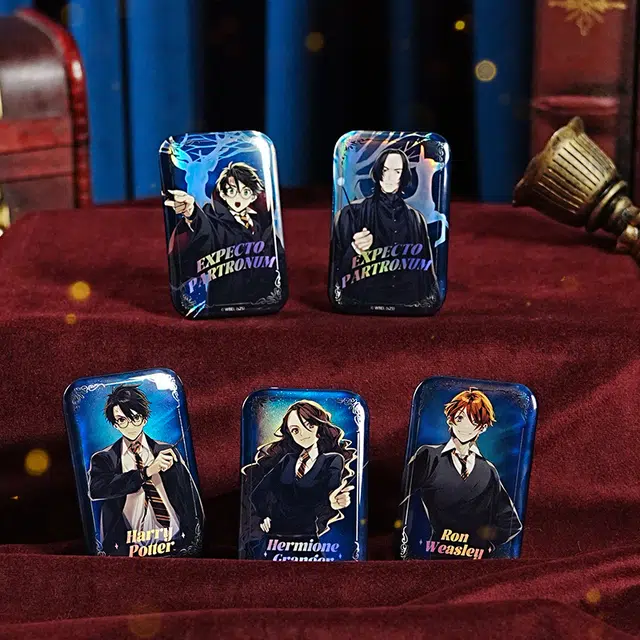 HARRY POTTER