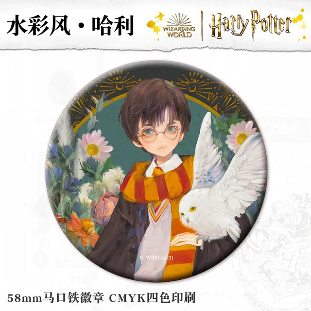 HARRY POTTER