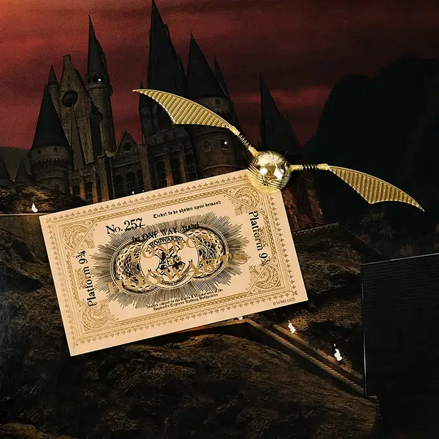HARRY POTTER