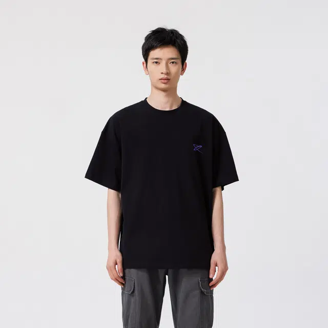 XINYINSU T