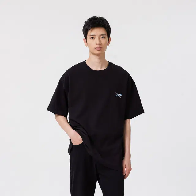 XINYINSU T