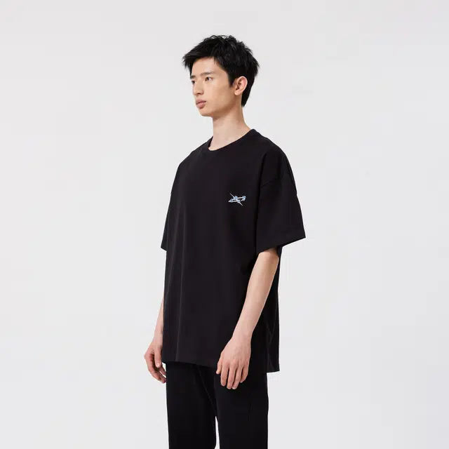 XINYINSU T