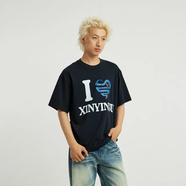 XINYINSU T