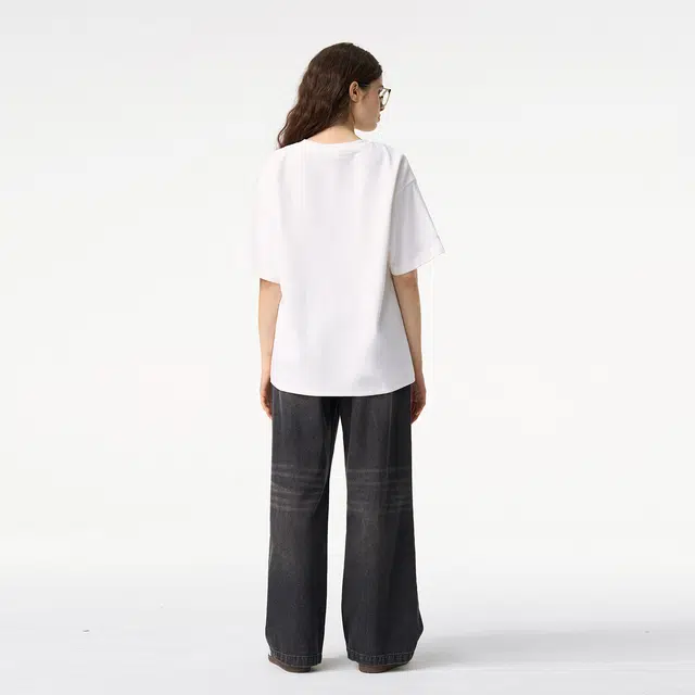 ICONS Lab ICS T