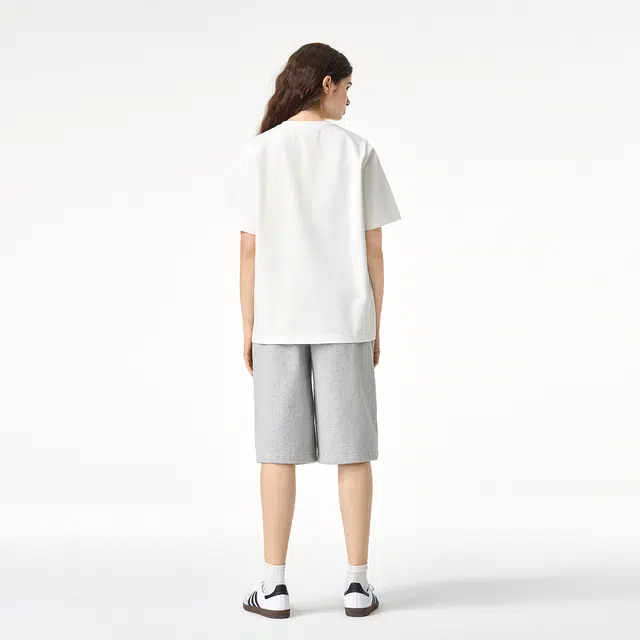 ICONS Lab ICS T