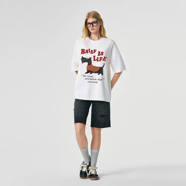 ICONS Lab ICS T