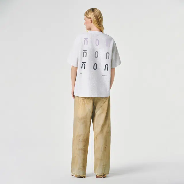 ICONS Lab ICS T