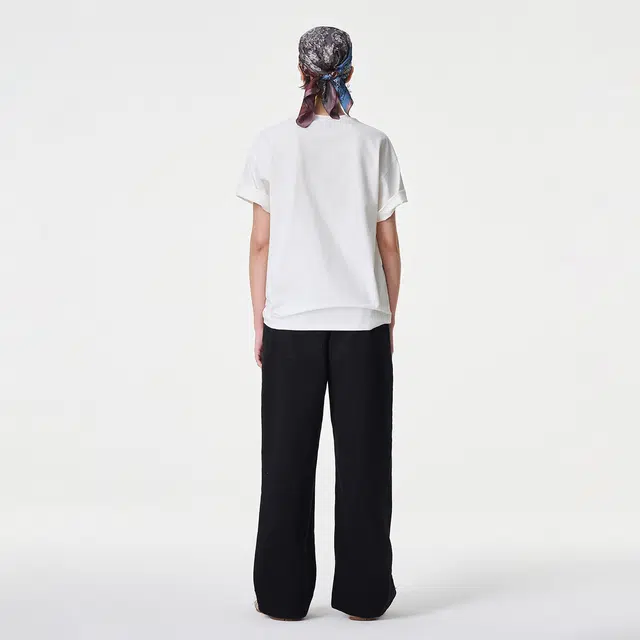 ICONS Lab T