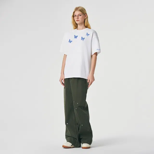 ICONS Lab ICS T