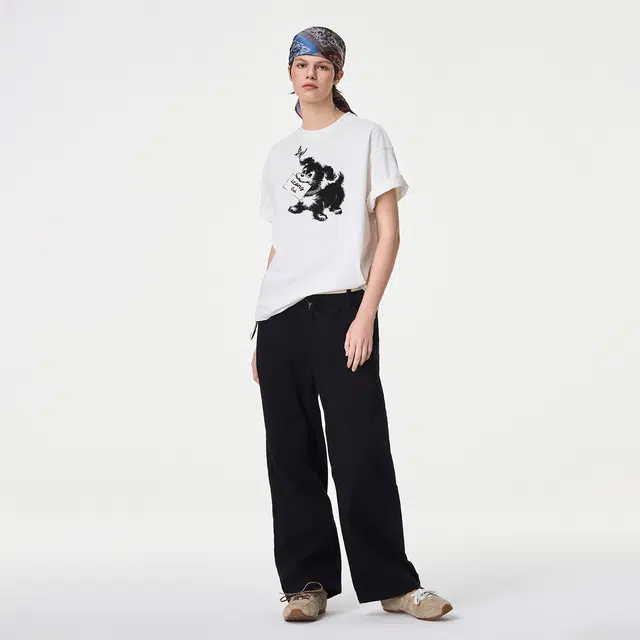 ICONS Lab ICS T