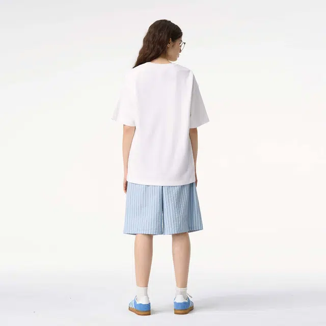ICONS Lab ICS T