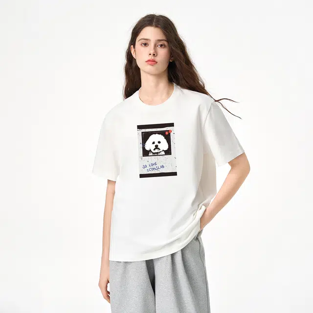 ICONS Lab ICS T