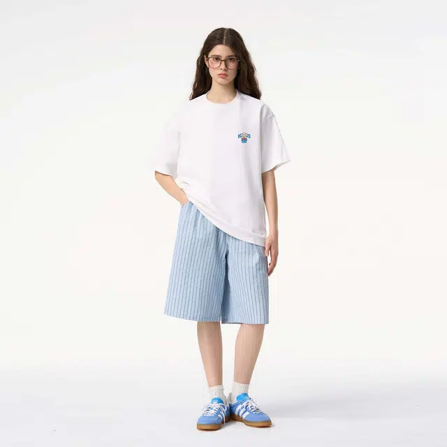 ICONS Lab ICS T