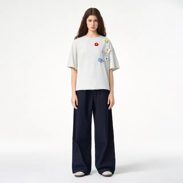 ICONS Lab ICS T