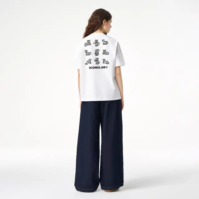 ICONS Lab ICS T