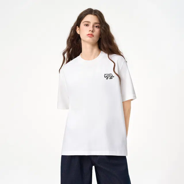 ICONS Lab ICS T