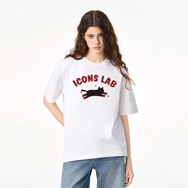 ICONS Lab ICS T