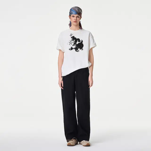 ICONS Lab ICS T