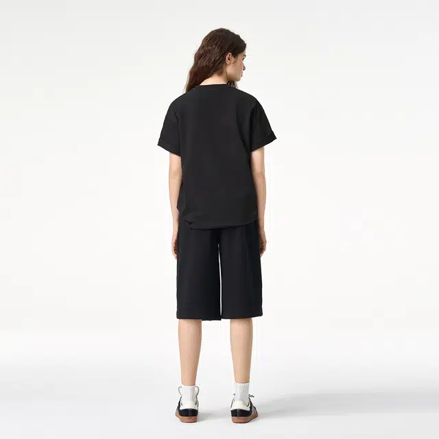 ICONS Lab ICS T