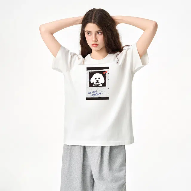 ICONS Lab ICS T