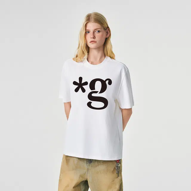 ICONS Lab ICS T