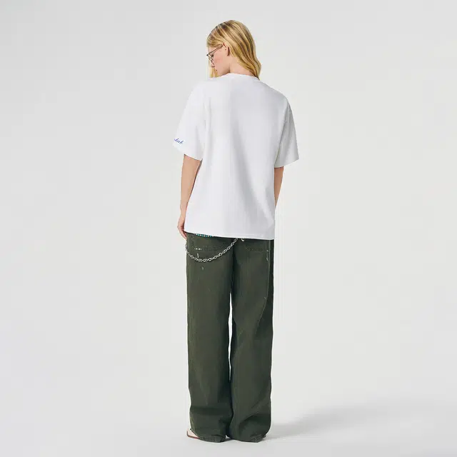 ICONS Lab ICS T