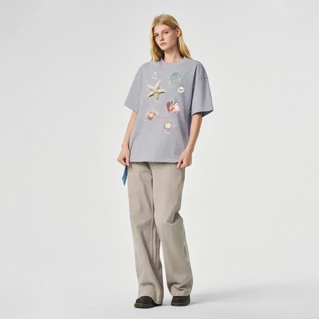 ICONS Lab ICS T