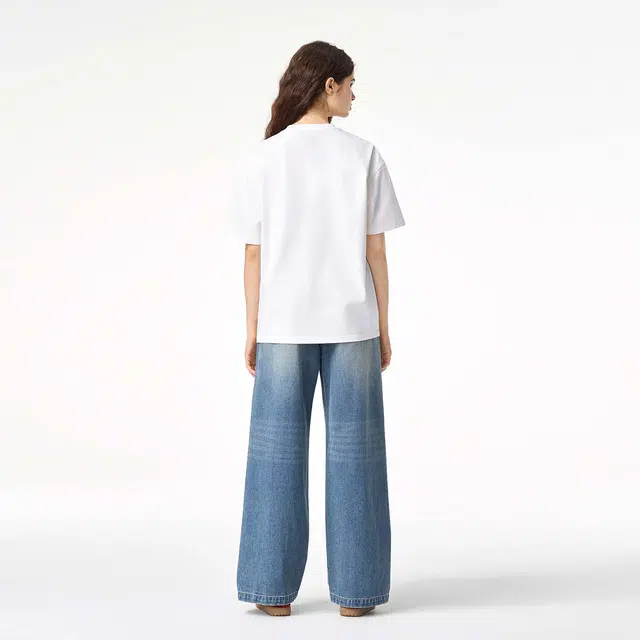 ICONS Lab ICS T