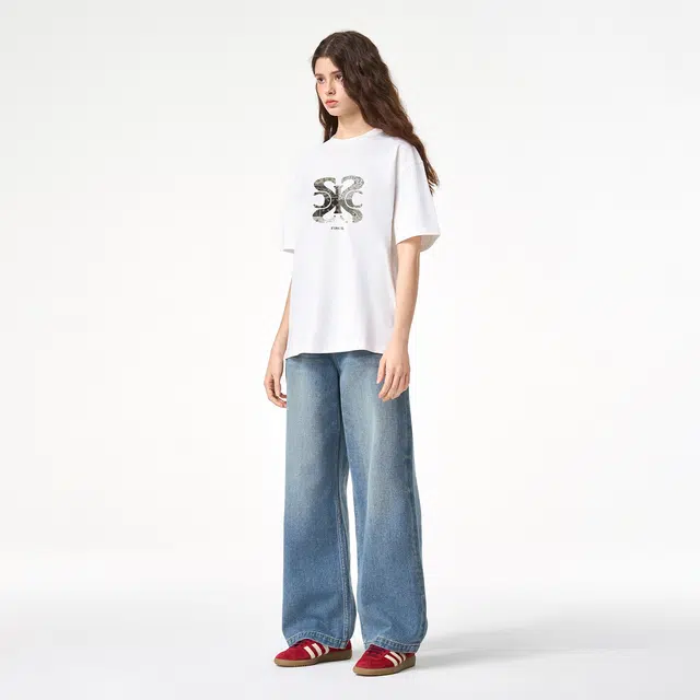 ICONS Lab T