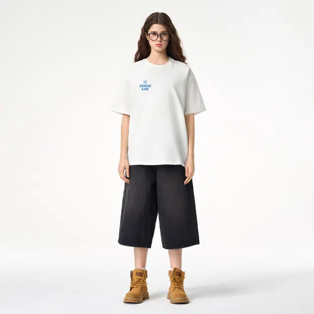 ICONS Lab ICS T