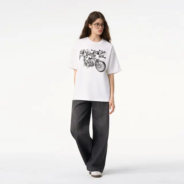 ICONS Lab ICS T