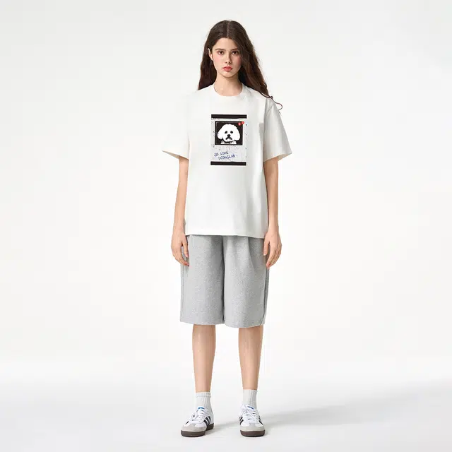 ICONS Lab ICS T