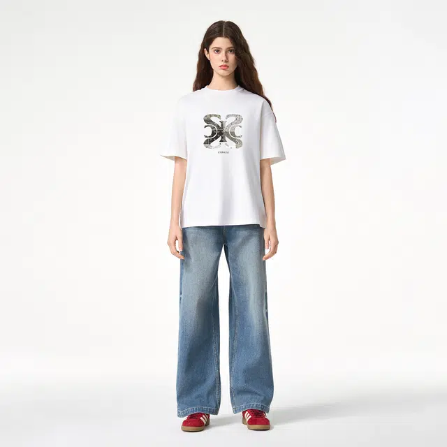 ICONS Lab T