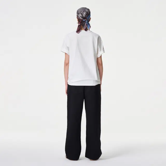 ICONS Lab ICS T