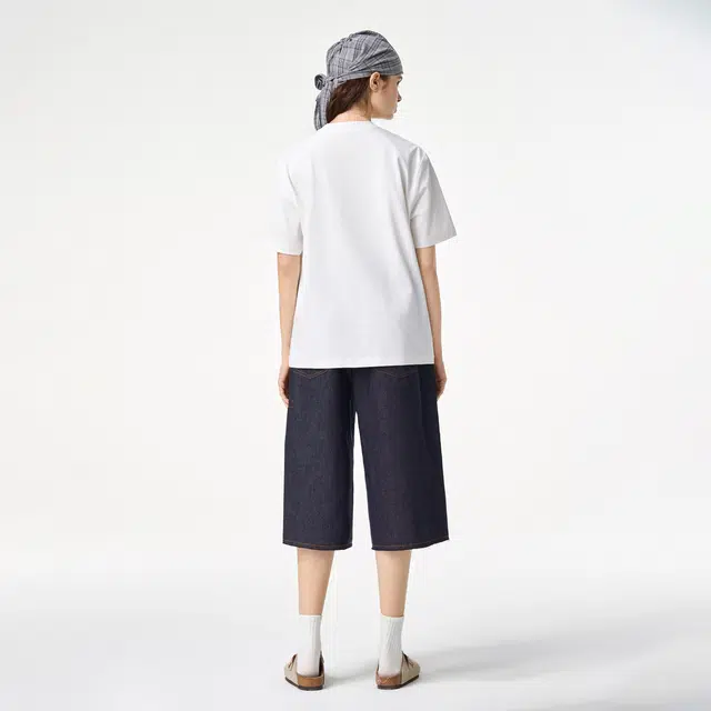 ICONS Lab ICS T