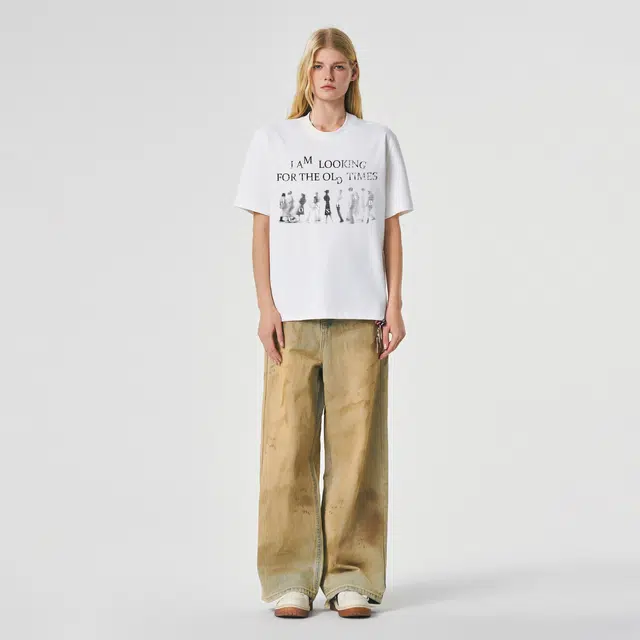 ICONS Lab ICS T