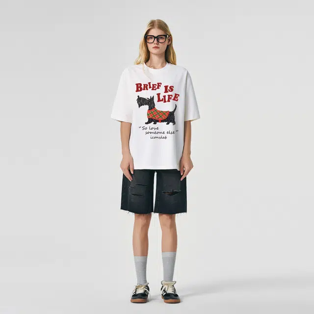ICONS Lab ICS T