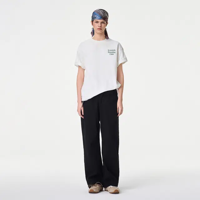 ICONS Lab ICS T