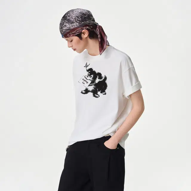 ICONS Lab ICS T