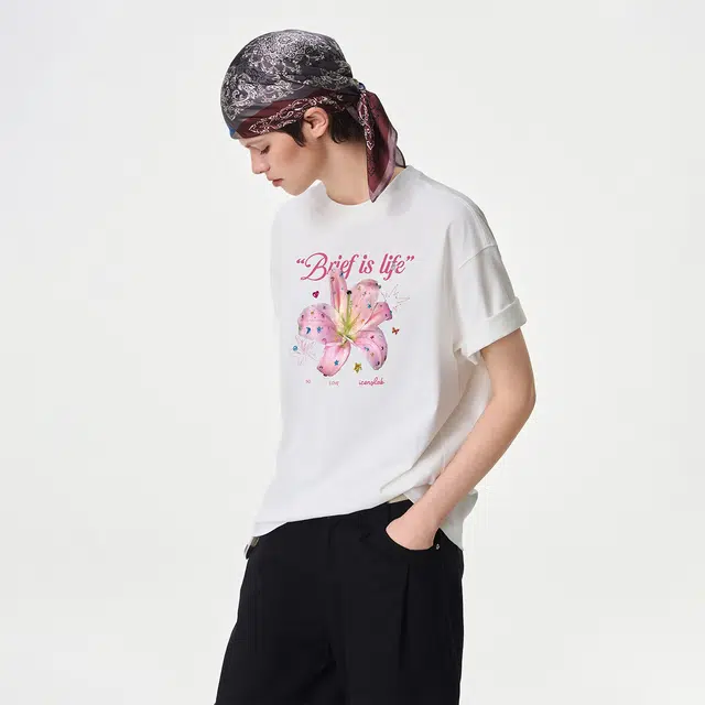 ICONS Lab ICS T