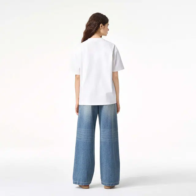 ICONS Lab ICS T