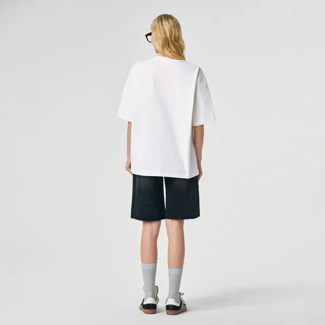ICONS Lab ICS T