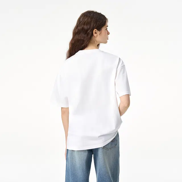 ICONS Lab ICS T