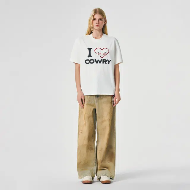 ICONS Lab ICS T