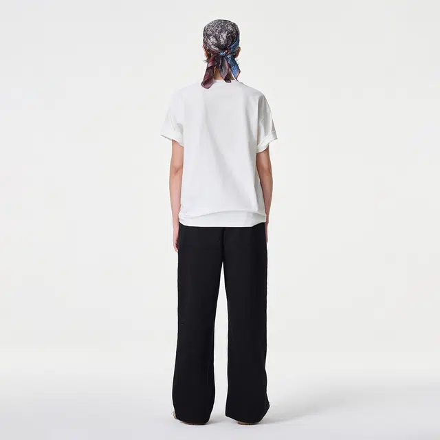ICONS Lab ICS T