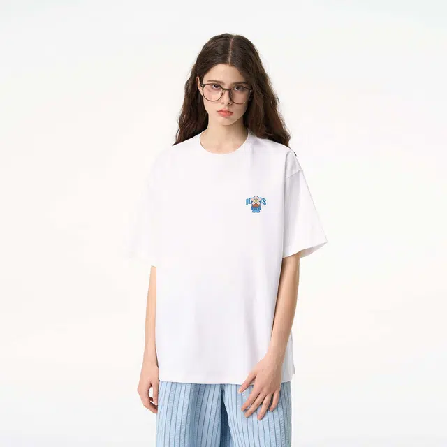 ICONS Lab ICS T