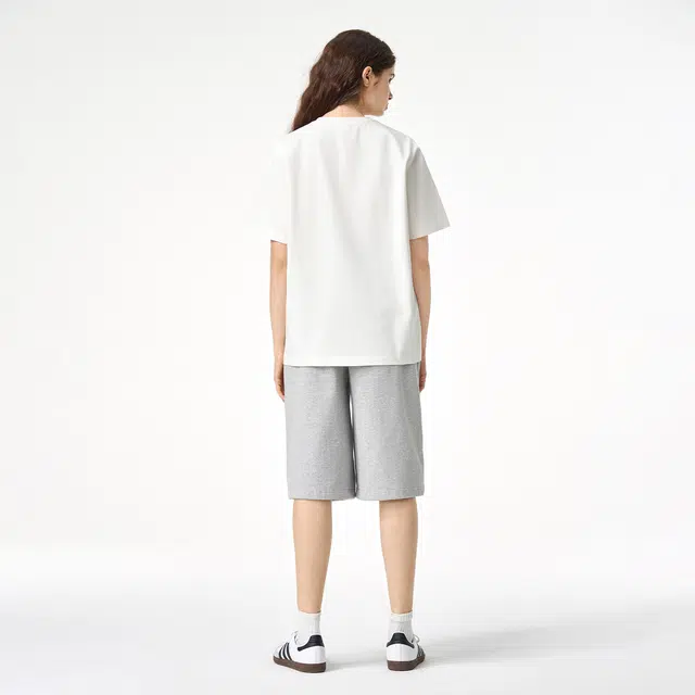 ICONS Lab ICS T